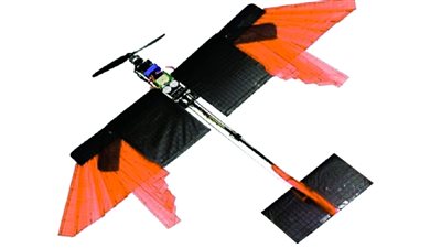 يطير ويعوم، ابتكار درون لمراقبة الطيور والحيوانات