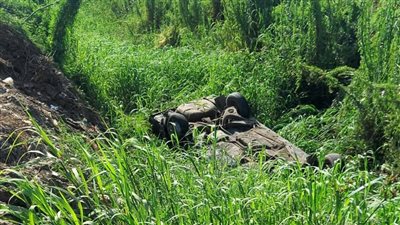 إصابة 3 أشخاص في انقلاب سيارة ملاكي بالترعة بسوهاج 