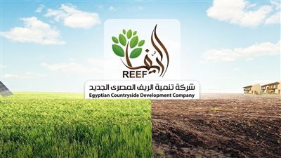 الريف المصري: منح الصحفيين 20 ألف فدان في غرب المنيا لأغراض الاستصلاح 