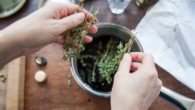 فوائد الزعتر، لعلاج حب الشباب ومشاكل الجهاز الهضمي والتنفسي