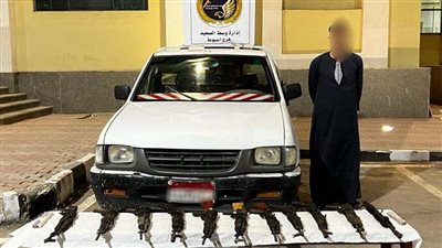 ترسانة أسلحة داخل سيارة، ضبط عنصر إجرامي بأسيوط بحوزته 12 بندقية آلية وذخائر