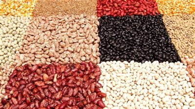 أسعار البقوليات اليوم الأربعاء 1-11-2023 في قنا