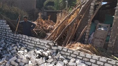 إزالة حالة تعد في المهد على أرض زراعية بمدينة الزينية في الأقصر