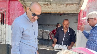 سكرتير بني سويف يتفقد سير العمل بمشروع الدواجن ومحطة البيض