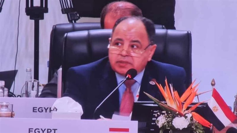 الدكتور محمد معيط