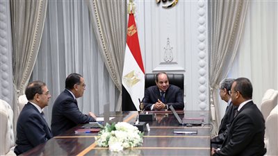 السيسي يوجه الحكومة باحتواء أزمة الكهرباء في أسرع وقت ممكن