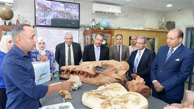 فرعون الحيتان، اكتشاف جديد لمركز الحفريات بجامعة المنصورة (صور)