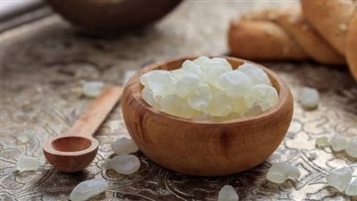 فوائد المستكة، تعالج عسر الهضم وأمراض اللثة