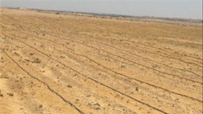 ضوابط تحديد سعر الفدان في أراضي الدولة 