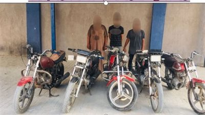 ضبط تشكيل عصابي ضم 7 أشخاص لسرقة التكاتك في البحيرة 