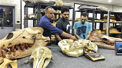 رئيس جامعة المنصورة: قدمنا دعم 2 مليون و759 ألف جنيه للرحلات الاستكشافية الأخيرة