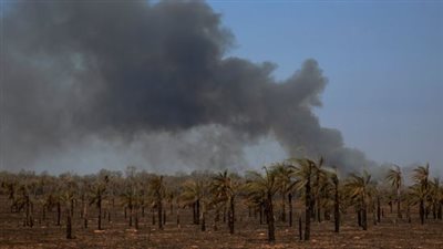 مشهد مروع، ارتفاع حصيلة ضحايا الحرائق في هاواي إلى 67 قتيلا (فيديو)