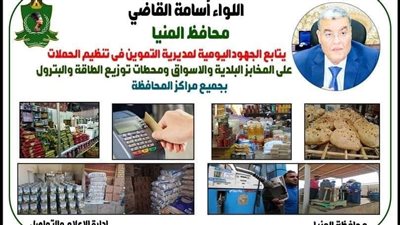 تحرير 65 محضرًا تموينيًا خلال حملات تفتيشية لضبط الأسواق بالمنيا