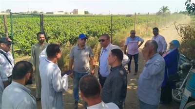 محلي سمالوط بالمنيا يتفقد المواقع المقترحة لإنشاء محطات رفع ومعالجة لمياه الشرب 