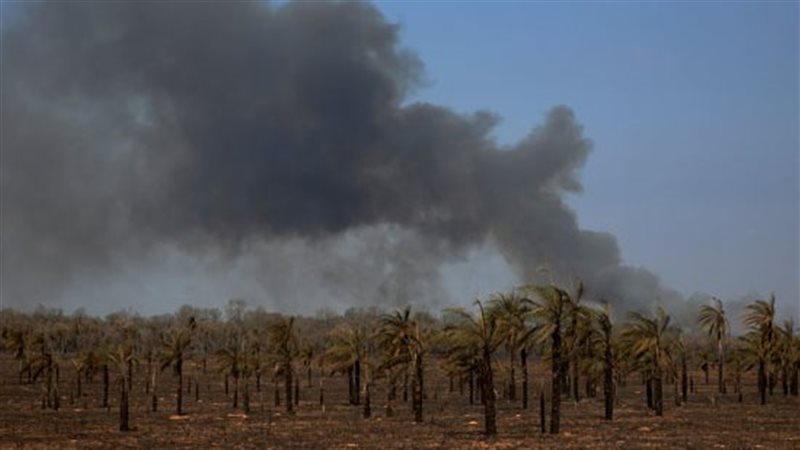 هاواي، فيتو