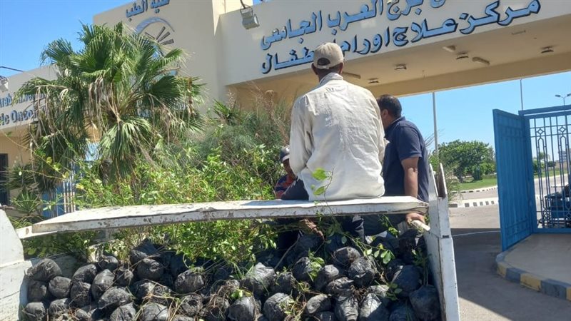 زراعة نحو 213 ألف