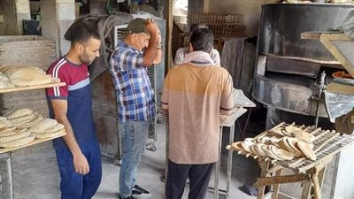 تحرير 13 محضرا في حملة تموينية مكبرة بشمال سيناء 