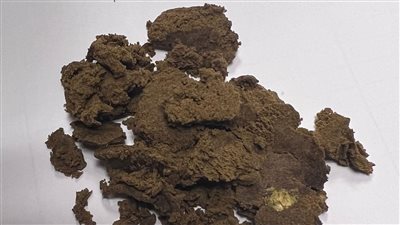 ضبط راكب فرنسي حاول تهريب حشيش داخل علبة كريم بمطار الغردقة 