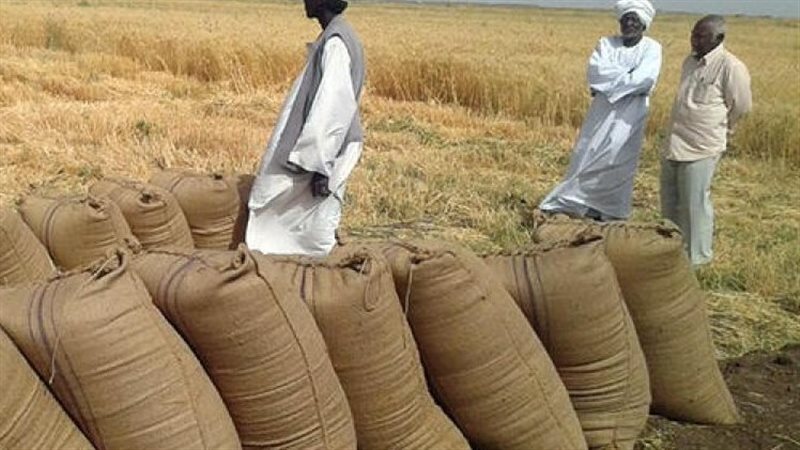 السمسم في السودان،