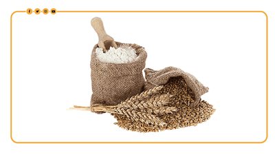 أكبر 10 دول منتجة للقمح في العالم خلال 2023 (إنفوجراف)