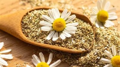 فوائد البابونج، لعلاج الأرق وعسر الطمث