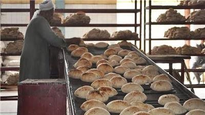 تحرير 29 مخالفة لأصحاب مخابز بلدية وسياحية في الغربية