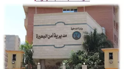  النيابة تحقق في حادث قتل جزار على يد ممرض في البحيرة 