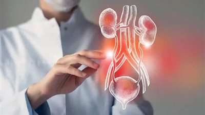 الصحة: الإصابة المتكررة بانسداد المسالك البولية تسبب الفشل الكلوي 