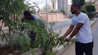 رفع 2700 طن قمامة خلال حملات نظافة في البحيرة