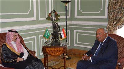 روابط وثيقة وأخوية بين مصر والسعودية.. أحمد أبو زيد يكشف تفاصيل الاجتماع الثنائي بين سامح شكرى والأمير فيصل بن فرحان.. تشاور وتنسيق بين البلدين في مختلف القضايا (صور)
