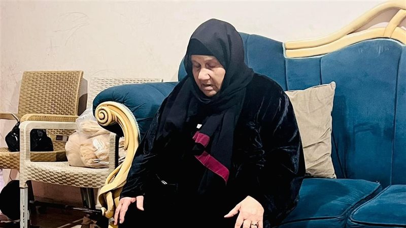 والدة أحمد شيبة،