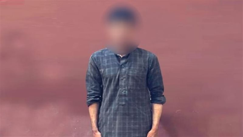 ضبط عاطل،فيتو