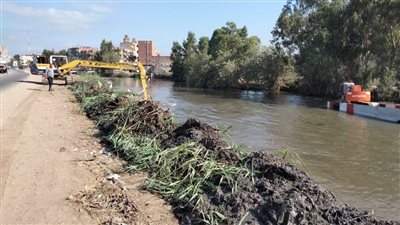 حملات نظافة وإزالة إشغالات وتبطين وتطهير مصارف بكفر الشيخ