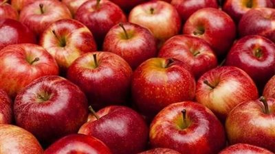 أسعار الفاكهة اليوم، 20 جنيهًا أقل سعر لكيلو التفاح في سوق العبور