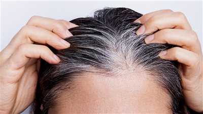 تفسير رؤية الشعر الأبيض في المنام وعلاقتها بطول العمر وزيادة الرزق 