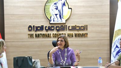 سوزان القليني تعقد اجتماع لجنة الإعلام الدوري بقومى المرأة 