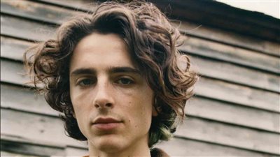 جريتا جرويج: تيموثي شالاميت كان يرغب في الظهور بفيلم BARBIE