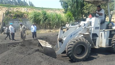 إزالة 15 حالة تعد بالبحيرة