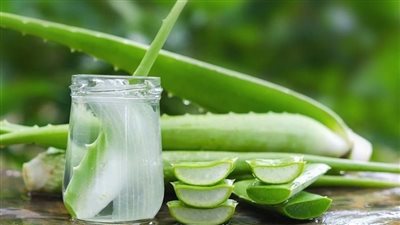  فوائد جل الصبار للبشرة، يعزز نضارة البشرة ويحافظ على شبابها ولكن يجب استخدامه بحذر