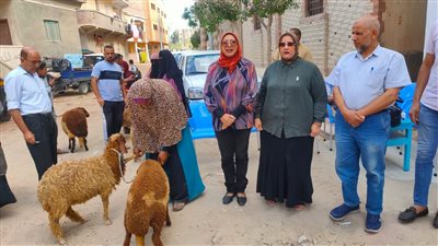 تمويل 150 مشروعا وتسليمها لأصحابها من الأسر الأولى بالرعاية بالبحيرة