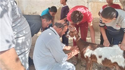 انطلاق قافلة بيطرية مجانية في الغربية