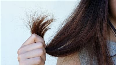 عالجى تقصف الشعر بزيت السمك وجوز الهند