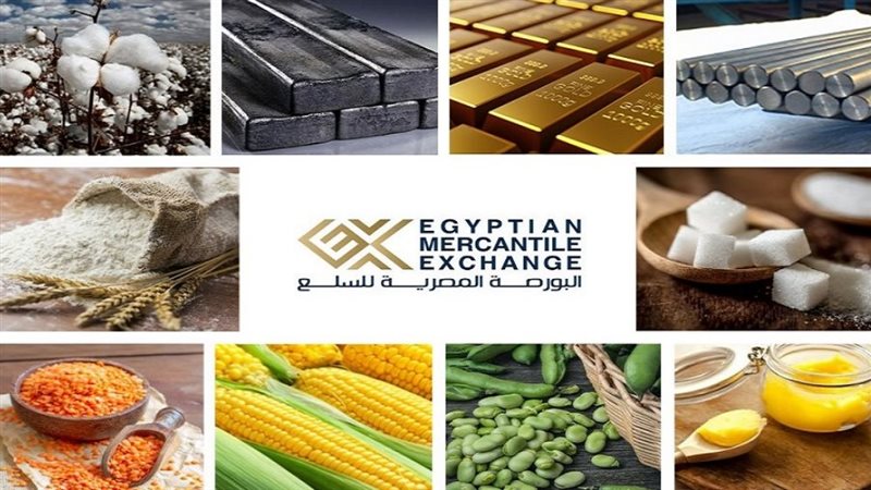 البورصة المصرية للسلع،