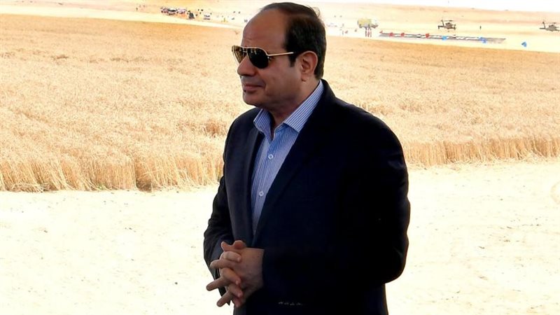 الرئيس عبد الفتاح