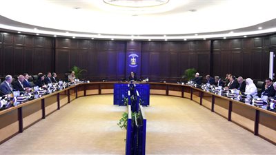 معلومات الوزراء: تضاعُف عدد الشركات الناشئة في مصر أكثر من 5 مرات