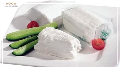 فوائد تناول الجبن القريش، بروتين عالي وسعرات حرارية قليلة (إنفوجراف)