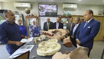 وسائل إعلام عالمية تسلط الضوء على اكتشاف جامعة المنصورة لحوت عمره 41 مليون سنة