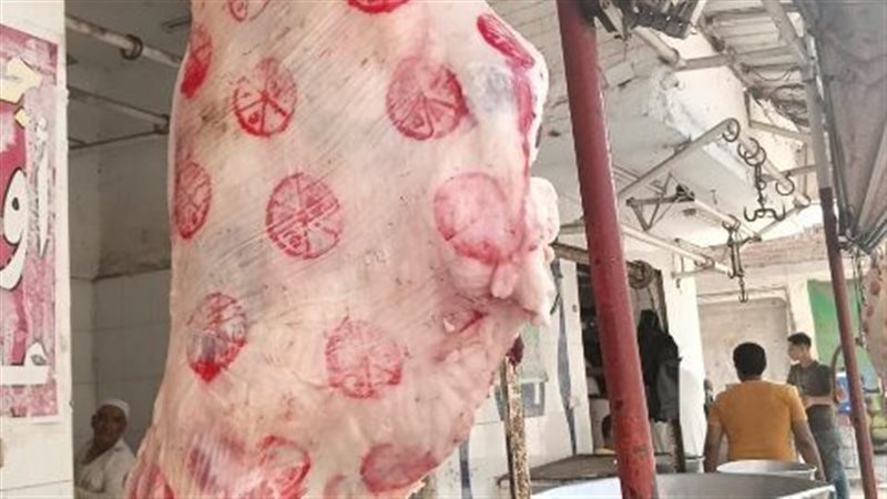 حملات تفتيشية لضبط