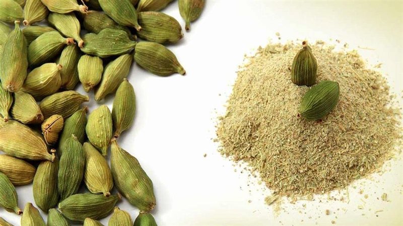 فوائد الحبهان، فيتو
