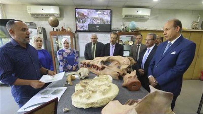 اكتشاف جامعة المنصورة،